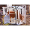 Veterinarinės staklės galvijams LFM PASDELOU - Image 9